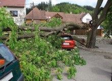 Kwikfynd Tree Cutting Services
sladepoint