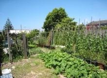 Kwikfynd Vegetable Gardens
sladepoint